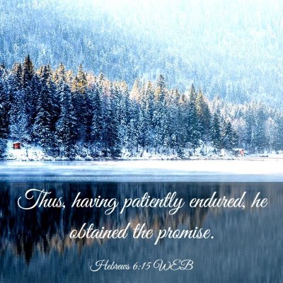 Picture 03 - Hebrews 6:15 WEB - Thus, having patiently endured, he obtained the - Bible Verse Picture