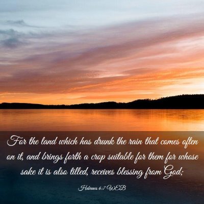 Picture 03 - Hebrews 6:7 WEB - For the land which has drunk the rain that comes - Bible Verse Picture