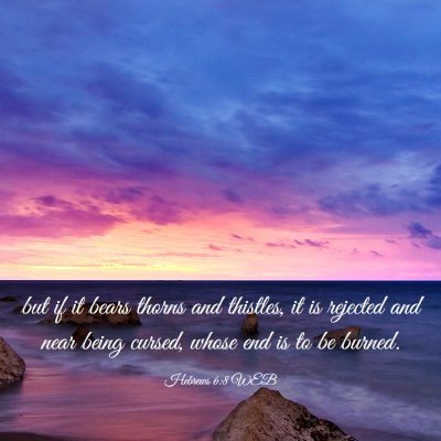 Picture 03 - Hebrews 6:8 WEB - but if it bears thorns and thistles, it is - Bible Verse Picture