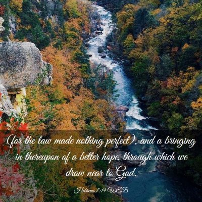 Picture 03 - Hebrews 7:19 WEB - (for the law made nothing perfect), and a - Bible Verse Picture