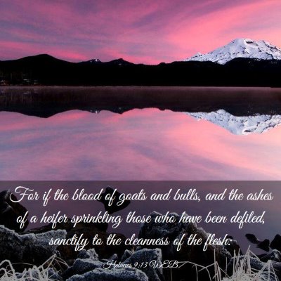 Picture 03 - Hebrews 9:13 WEB - For if the blood of goats and bulls, and the - Bible Verse Picture
