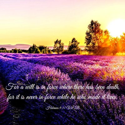 Picture 03 - Hebrews 9:17 WEB - For a will is in force where there has been - Bible Verse Picture