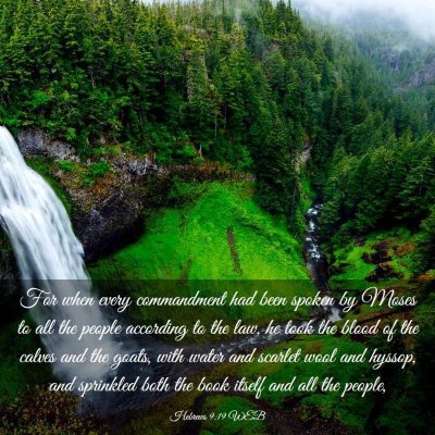 Picture 03 - Hebrews 9:19 WEB - For when every commandment had been spoken by - Bible Verse Picture