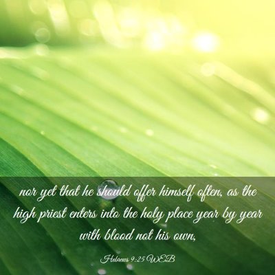 Picture 03 - Hebrews 9:25 WEB - nor yet that he should offer himself often, as - Bible Verse Picture