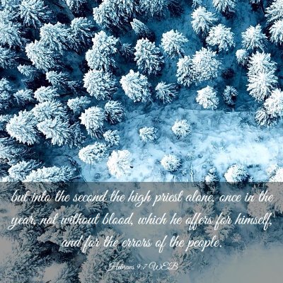 Picture 03 - Hebrews 9:7 WEB - but into the second the high priest alone, once - Bible Verse Picture