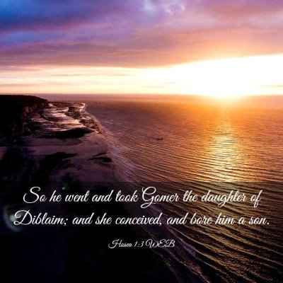 Picture 03 - Hosea 1:3 WEB - So he went and took Gomer the daughter of - Bible Verse Picture
