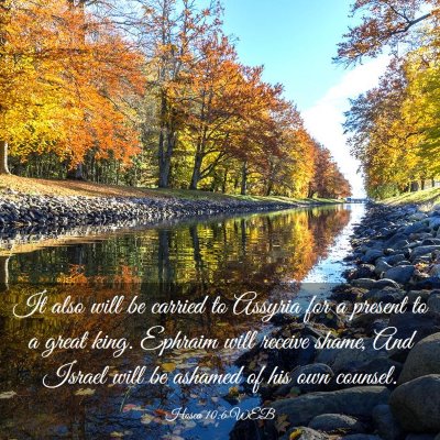 Picture 03 - Hosea 10:6 WEB - It also will be carried to Assyria for a present - Bible Verse Picture