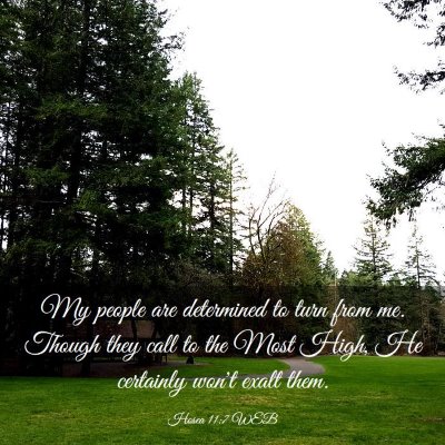 Picture 03 - Hosea 11:7 WEB - My people are determined to turn from me. Though - Bible Verse Picture