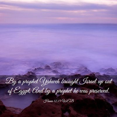 Picture 03 - Hosea 12:13 WEB - By a prophet Yahweh brought Israel up out of - Bible Verse Picture