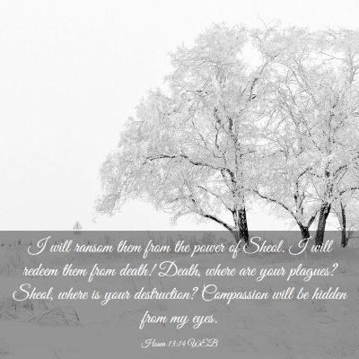 Picture 03 - Hosea 13:14 WEB - I will ransom them from the power of Sheol. I - Bible Verse Picture