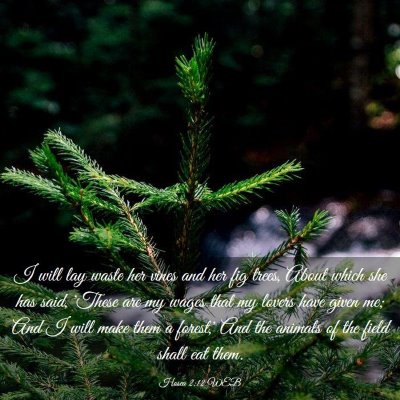 Picture 03 - Hosea 2:12 WEB - I will lay waste her vines and her fig trees, - Bible Verse Picture