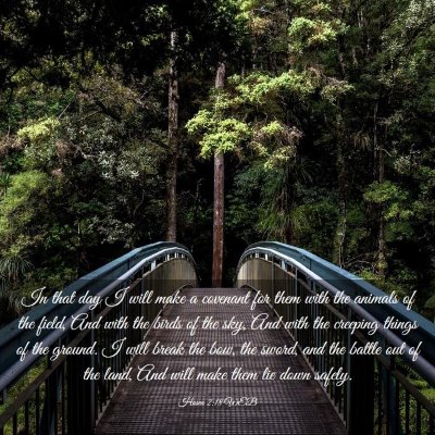 Picture 03 - Hosea 2:18 WEB - In that day I will make a covenant for them with - Bible Verse Picture