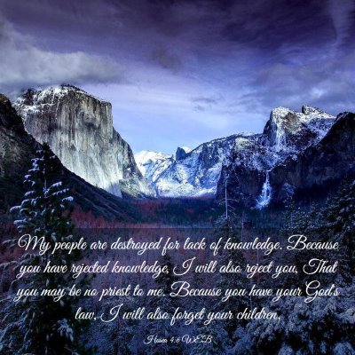 Picture 03 - Hosea 4:6 WEB - My people are destroyed for lack of knowledge. - Bible Verse Picture