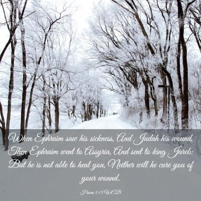 Picture 03 - Hosea 5:13 WEB - When Ephraim saw his sickness, And Judah his - Bible Verse Picture