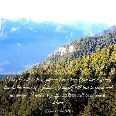 Picture 03 - Hosea 5:14 WEB - For I will be to Ephraim like a lion, And like a - Bible Verse Picture