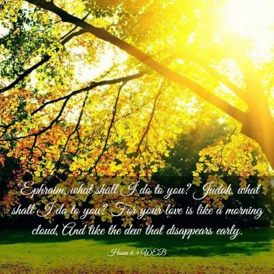 Picture 03 - Hosea 6:4 WEB - 