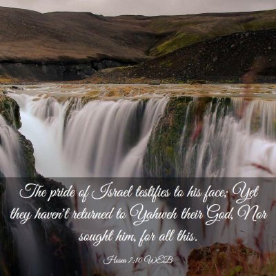 Picture 03 - Hosea 7:10 WEB - The pride of Israel testifies to his face; Yet - Bible Verse Picture