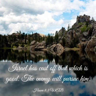 Picture 03 - Hosea 8:3 WEB - Israel has cast off that which is good. The enemy - Bible Verse Picture