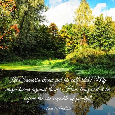Picture 03 - Hosea 8:5 WEB - Let Samaria throw out his calf-idol! My anger - Bible Verse Picture