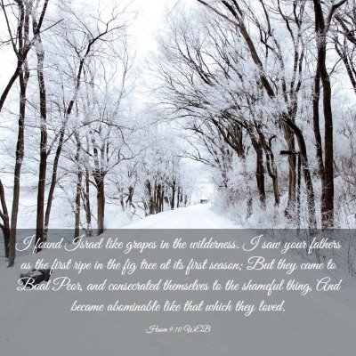 Picture 03 - Hosea 9:10 WEB - I found Israel like grapes in the wilderness. I - Bible Verse Picture