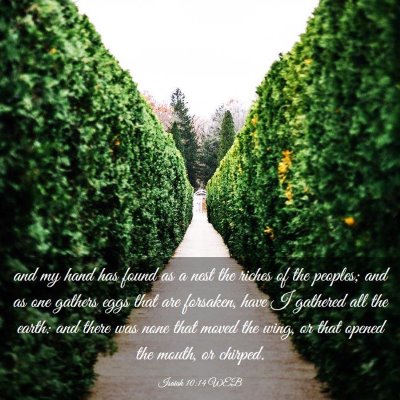 Picture 03 - Isaiah 10:14 WEB - and my hand has found as a nest the riches of the - Bible Verse Picture