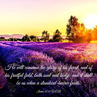 Picture 03 - Isaiah 10:18 WEB - He will consume the glory of his forest, and of - Bible Verse Picture