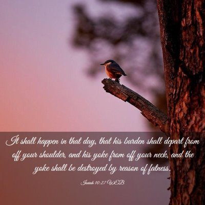 Picture 03 - Isaiah 10:27 WEB - It shall happen in that day, that his burden - Bible Verse Picture