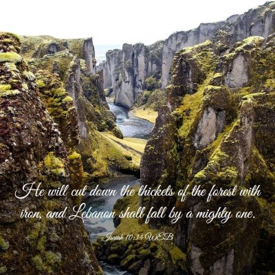 Picture 03 - Isaiah 10:34 WEB - He will cut down the thickets of the forest with - Bible Verse Picture