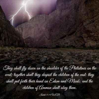 Picture 03 - Isaiah 11:14 WEB - They shall fly down on the shoulder of the - Bible Verse Picture