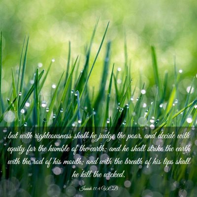 Picture 03 - Isaiah 11:4 WEB - but with righteousness shall he judge the poor, - Bible Verse Picture