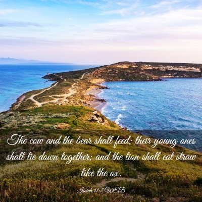Picture 03 - Isaiah 11:7 WEB - The cow and the bear shall feed; their young ones - Bible Verse Picture