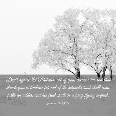 Picture 03 - Isaiah 14:29 WEB - Don't rejoice, O Philistia, all of you, because - Bible Verse Picture