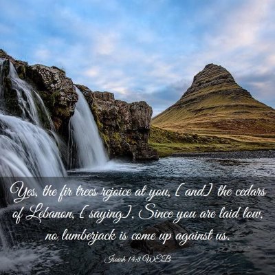 Picture 03 - Isaiah 14:8 WEB - Yes, the fir trees rejoice at you, [and] the - Bible Verse Picture