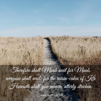 Picture 03 - Isaiah 16:7 WEB - Therefore shall Moab wail for Moab, everyone - Bible Verse Picture