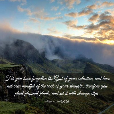 Picture 03 - Isaiah 17:10 WEB - For you have forgotten the God of your salvation, - Bible Verse Picture