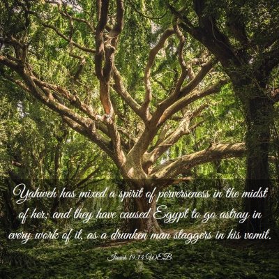 Picture 03 - Isaiah 19:14 WEB - Yahweh has mixed a spirit of perverseness in the - Bible Verse Picture