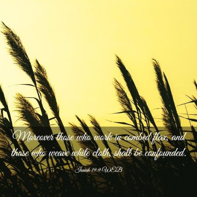 Picture 03 - Isaiah 19:9 WEB - Moreover those who work in combed flax, and those - Bible Verse Picture