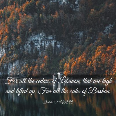 Picture 03 - Isaiah 2:13 WEB - For all the cedars of Lebanon, that are high and - Bible Verse Picture