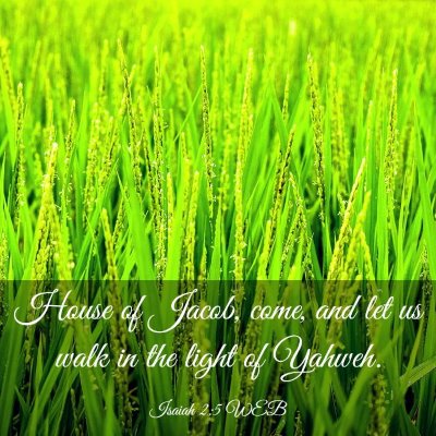 Picture 03 - Isaiah 2:5 WEB - House of Jacob, come, and let us walk in the - Bible Verse Picture