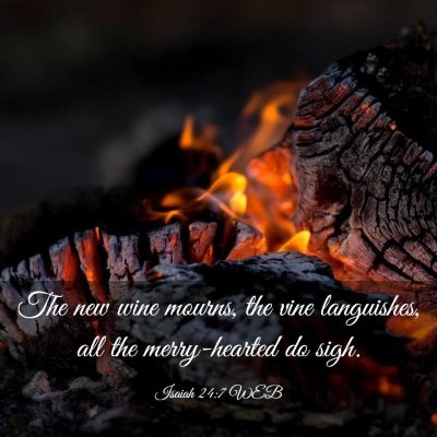 Picture 03 - Isaiah 24:7 WEB - The new wine mourns, the vine languishes, all the - Bible Verse Picture