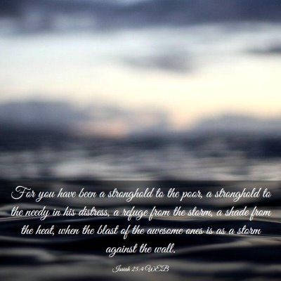 Picture 03 - Isaiah 25:4 WEB - For you have been a stronghold to the poor, a - Bible Verse Picture