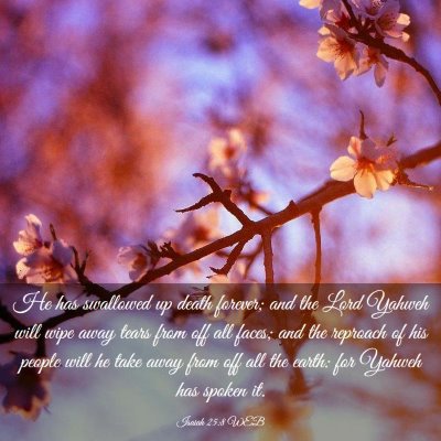 Picture 03 - Isaiah 25:8 WEB - He has swallowed up death forever; and the Lord - Bible Verse Picture