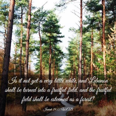 Picture 03 - Isaiah 29:17 WEB - Is it not yet a very little while, and Lebanon - Bible Verse Picture