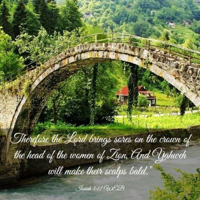 Picture 03 - Isaiah 3:17 WEB - Therefore the Lord brings sores on the crown of - Bible Verse Picture