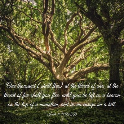 Picture 03 - Isaiah 30:17 WEB - One thousand [shall flee] at the threat of one; - Bible Verse Picture