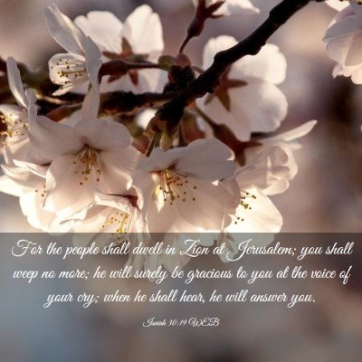 Picture 03 - Isaiah 30:19 WEB - For the people shall dwell in Zion at Jerusalem; - Bible Verse Picture
