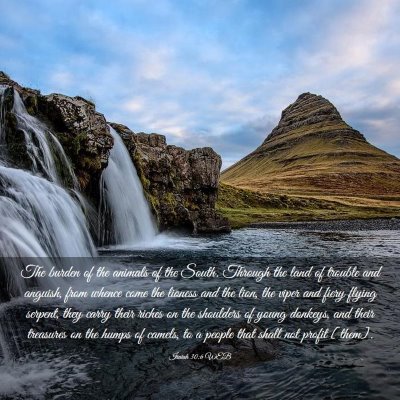 Picture 03 - Isaiah 30:6 WEB - The burden of the animals of the South. Through - Bible Verse Picture