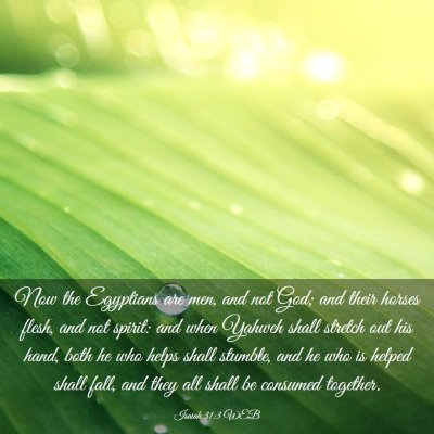 Picture 03 - Isaiah 31:3 WEB - Now the Egyptians are men, and not God; and their - Bible Verse Picture
