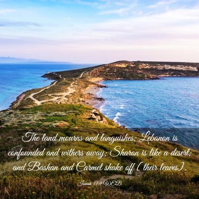 Picture 03 - Isaiah 33:9 WEB - The land mourns and languishes; Lebanon is - Bible Verse Picture