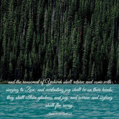 Picture 03 - Isaiah 35:10 WEB - and the ransomed of Yahweh shall return, and come - Bible Verse Picture